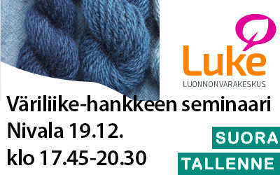 Väriliike-hankkeen seminaari 19.12.19 klo 17.45